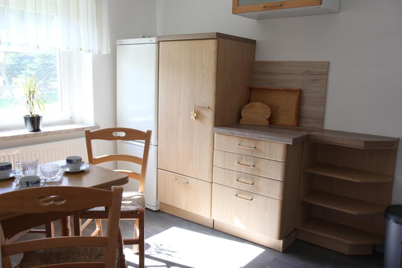 Ferienwohnung Lippmann Grosshartmannsdorf Екстер'єр фото